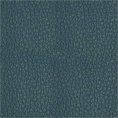 Canyon Vinyl Upholstery